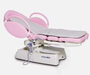 WG-DC01 Electric Delivery Bed